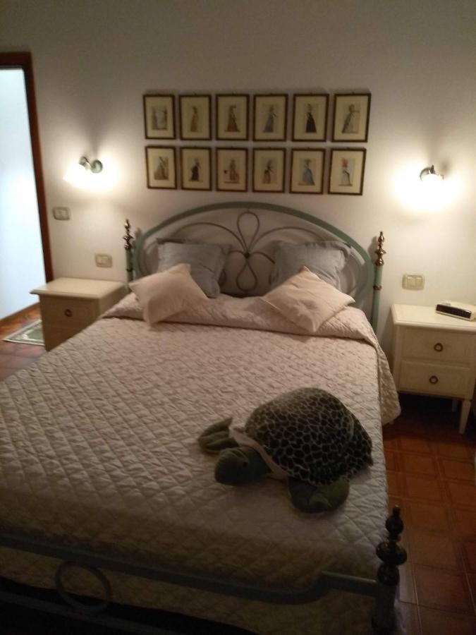 Apartament Casa Di Nonna Cate Montepulciano Zewnętrze zdjęcie